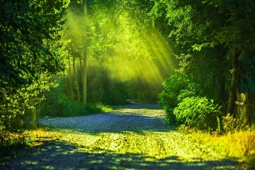 悲しみに向き合うということ〜カウンセリングとアーユルヴェーダトリートメントの記録〜