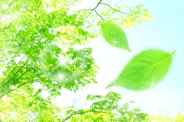 心がざわついたときに