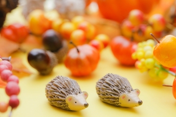 冬に向けて体調管理