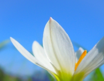 オージャスが満ちた体にするには！！①