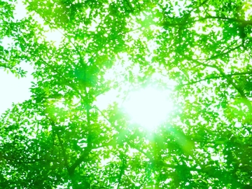 更年期！ゴースト血管を復活させる②