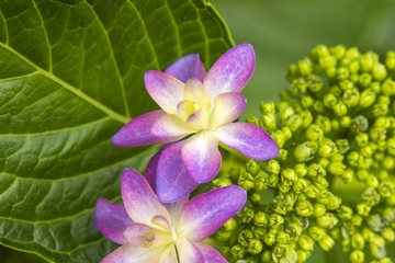 痩せたいならば➀