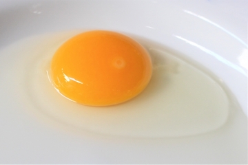 痩せたいならば⑪