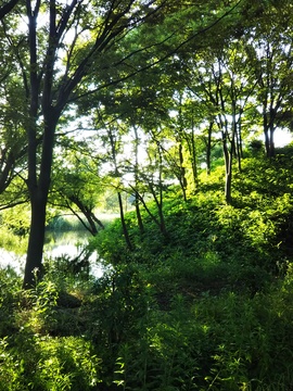 痩せたいならば⑮