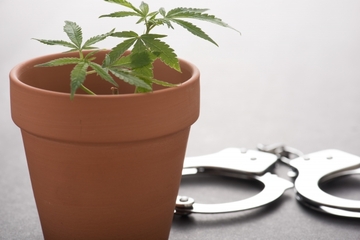 それでも『大麻』吸いますか？