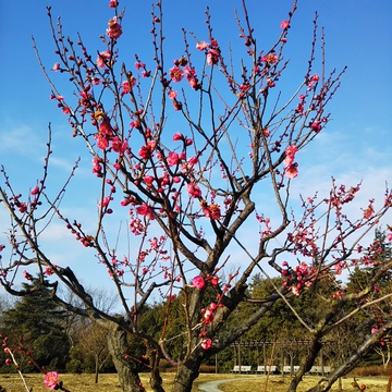 瞑想する？しない？しよう！！