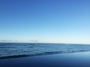 食べ物の性質～サットヴァ～