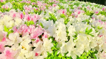 体験して感じること