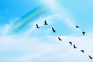 どんな過去も大切