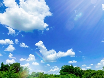 生活を夏に向けて整える