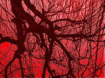 更年期！ゴースト血管を復活させる①