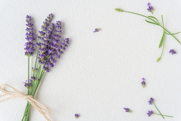 アーユルヴェーダ　病気の原因を知る①