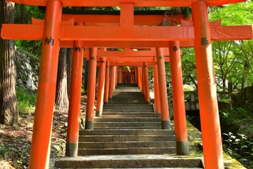 神活してますか？？