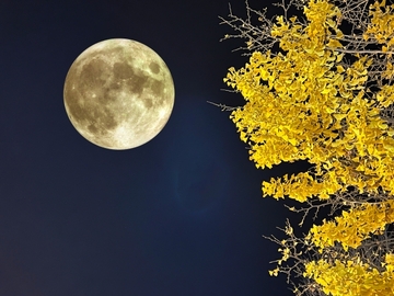 秋の夜長だからこそ睡眠の質をあげましょう！