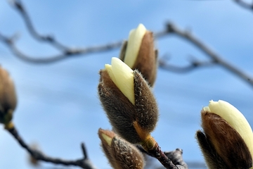 加圧トレーニングでうつ予防