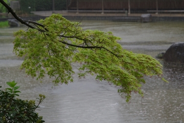 自分自身が自分の主治医にたるために！その５