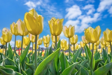 更年期の女性が股関節の正しい場所をしることで得をする３つのこと