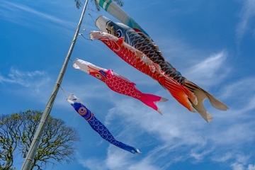 こども心を持ち続けることは、人生をより豊かで楽しいものにする？！