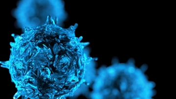 インフルエンザが大流行中におすすめ！免疫力復活！野菜たっぷりにんにくたっぷりのスパイスカレーレシピ