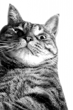 上から目線で話す人の心理的要因と真相に迫る！なぜ私を見下すのか