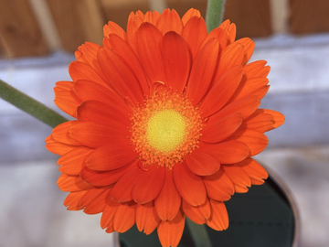 1週間で試すバランスを取るための小さな習慣１０選