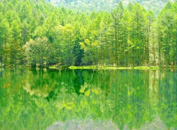 実際に寄せられた悩み解決シリーズ Vol.２