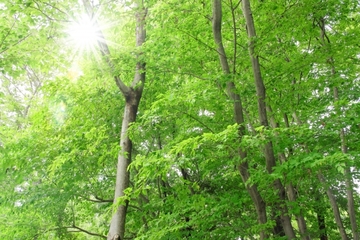 5分でできる！簡単ストレス解消法
〜呼吸テクニック編〜