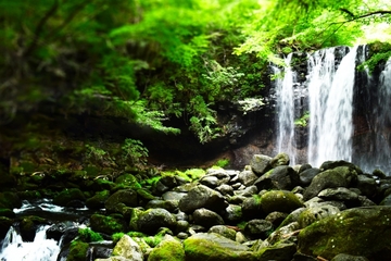 5分でできる！日常にマインドフルネスを取り入れるヒント