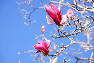 サマハン活用法　アダルトバージョン！！
ホットワイン