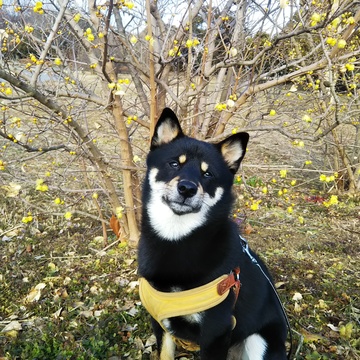 幸せを買うことは絶対にできない