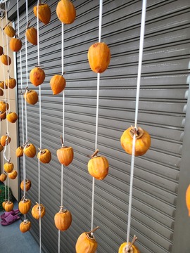 柿　大～好き！