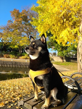 方法は何百通りとあるものだから