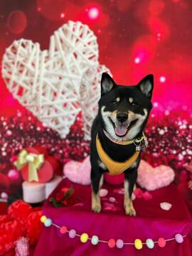 他人の努力を無駄にしないためのポイント