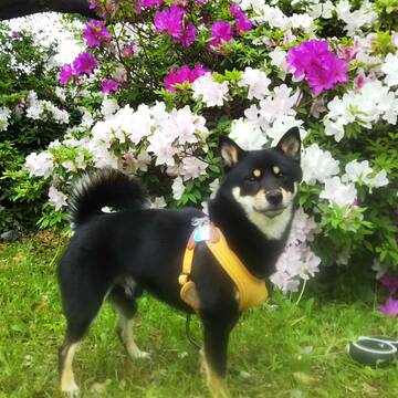 夏にむけて体絞りたい更年期の方のために、効果的で安全なダイエットのコツ