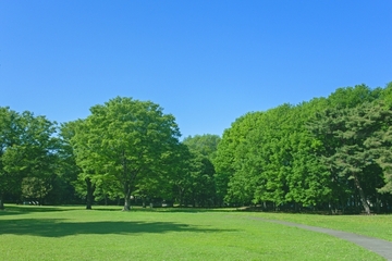 心を整えるセルフケア