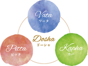 【第6回】あなたに合ったライフスタイル